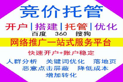 SEM推广案例：从无到有的转变